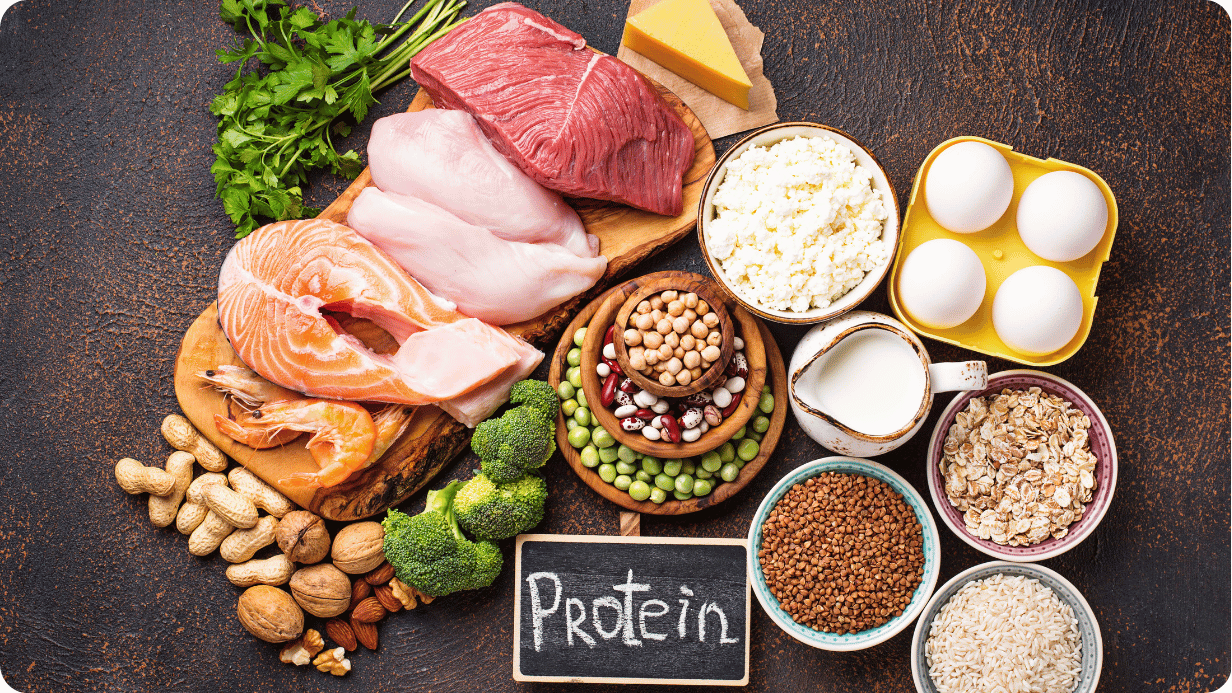 Different protein sources 